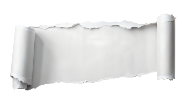 A long horizontal strip of torn white paper rolled at the edges isolated on transparent background