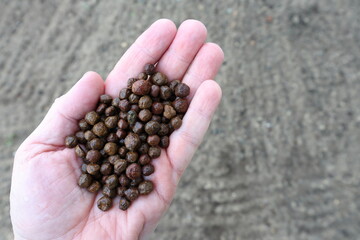 Almandine, alluvial, opaque, industrial garnets held in hand. Mined for use in abrasive blasting, water filtration media, water jet cutting, abrasive powders, nonslip coatings, sandpaper