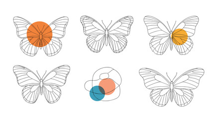 Fototapeta premium Creative butterfly designs featuring abstract geometric shapes and subtle color accents for artistic projects