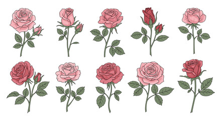 Exquisite collection of delicate vintage rose illustrations for romantic designs