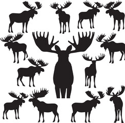 Moose Vector In Black and White