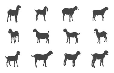 Nubian show goat svg, Nubian show goat silhouette, Show goat svg, Show goat silhouette, Nubian goat silhouette, Nubian goat svg.