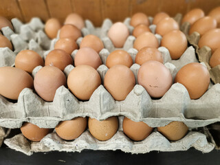 Eggs in a carton, ready for breakfast or cooking.
Symbolizing the essence of wholesome nutrition...