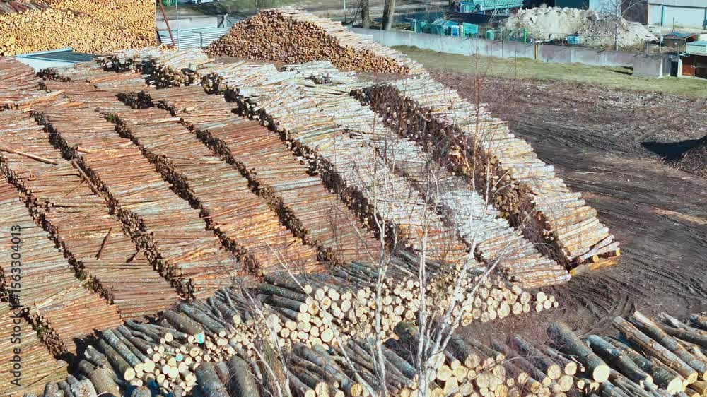 Aufkleber countless timber logs neatly piled in long rows at a large lumber yard, showing varied wood textures