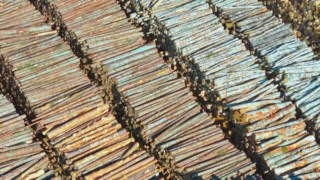 Countless timber logs sorted neatly by size and color in parallel rows at a large lumber yard, highlighting forestry resources and raw material storage under daylight.