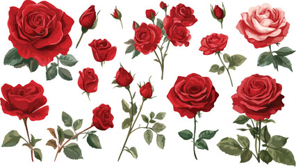 Elegant collection of red and pink rose flowers with green leaves