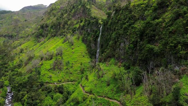 Waterfall in the valey 