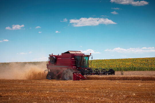 Combine harvester machine harvesting working in a wheat field