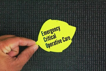 What is ECO all about? Emergency, critical and operative care ECO. services are an integral part of...
