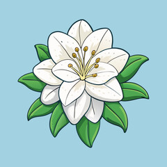 vector illustration of a flower