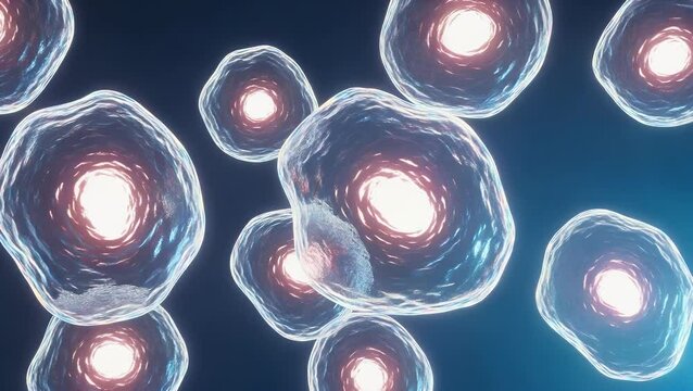 Translucent cells with glowing centers on a dark blue background
