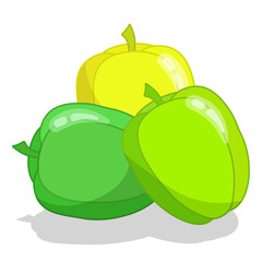 Three green and yellow bell peppers on a white background. Vegetables. Vector illustration for children's book, recipe, print.