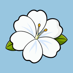 white flower on blue background