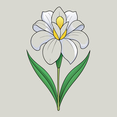 vector illustration of a daisy flower