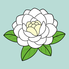 vector illustration of rose