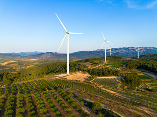 Mediterranean vineyard field extending toward wind turbines on rolling hills, Terra Alta, Catalonia, Spain, symbolizing synergy of renewable energy and viticulture landscape