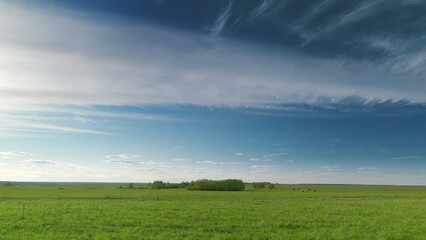 A Serene Green Landscape is Set Under a Beautiful Blue Sky with Wispy White Clouds Time lapse.