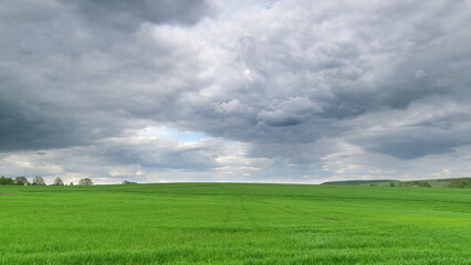 Obraz premium A beautiful lush green field stretches out magnificently beneath a captivating cloudy sky Time lapse.