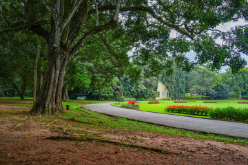 Peradeniya Royal Botanical Garden in Kandy, Sri Lanka