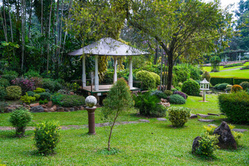 Peradeniya Royal Botanical Garden in Kandy, Sri Lanka