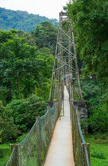 Peradeniya Royal Botanical Garden in Kandy, Sri Lanka
