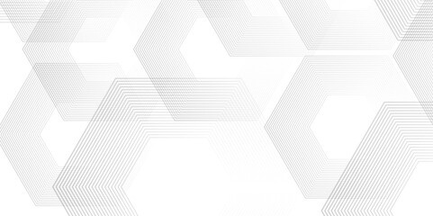Fototapeta premium Modern geometric vector illustration design. Abstract minimalist background with technology lines. Modern pattern elegant gray line template background.