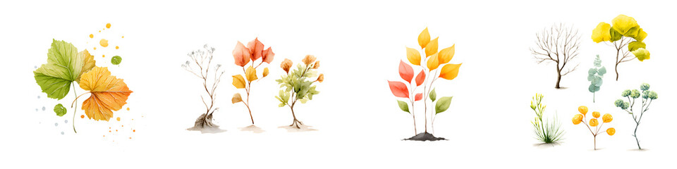 Watercolor Trees and Leaves: Autumnal Botanical Elements