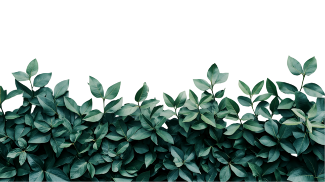 Lush green foliage with a transparent backdrop, perfect for nature themes, design elements, or digital compositions with a fresh, organic touch, transparent background - Powered by Adobe