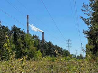 Chimneys of the "Dolna Odra" Power Plant in Nowe Czarnowo near Szczecin in Poland, view from the forest