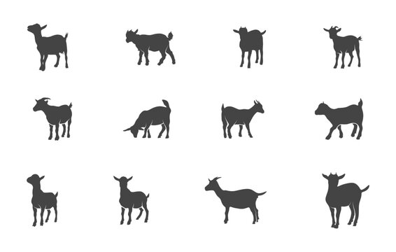 Pygmy goats silhouette, Pygmy goats svg, Goat svg, Goat silhouette, Pygmy goats vector, Pygmy goats clipart. 