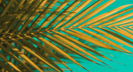Obraz premium Decorative palm leaves on vibrant green isolated background