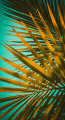 Decorative palm leaves on vibrant green isolated background
