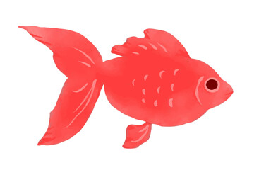 水彩風赤い金魚のイラスト