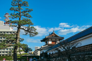Majestic pine tree frames a traditional turret of Hiroshima Castle, creating a stunning contrast with the modern city skyline of Hiroshima, Japan, all set against a vibrant blue sky on a clear day