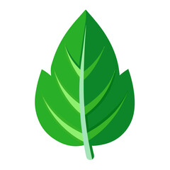 green leave vector icon on white background