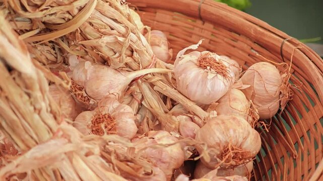 Fresh garlic in the market.