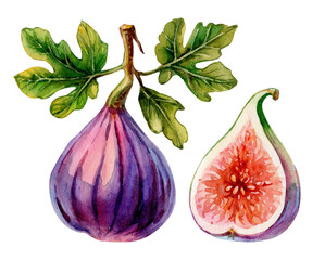 Fresh fig and sliced half displayed with vibrant green leaves showcasing natural beauty