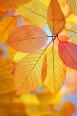 Fototapeta premium A Symphony of Nature s Autumn Artistry Unfolds with Vibrant Leaves and Warm Earthy Textures