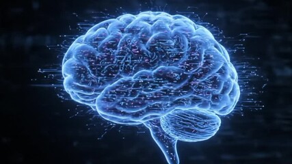 Digital Human Brain Visualization with Neural Connections - Powered by Adobe