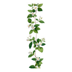 Isolated Transparent Floral Decoration on Clear Background