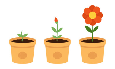Flower growth stages in terracotta pots. Minimalist illustration for gardening blogs, educational materials, eco-friendly campaigns