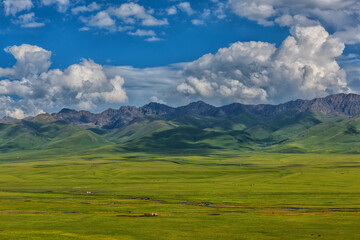 The picturesque mountain plateau of Shalkode in the Almaty region in southeastern Kazakhstan on a summer day