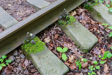 Rail fastenings on railway overgrown with moss in forest