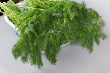 Large bundle of freshly picked dill on the plastic container