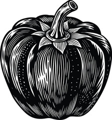 Black and White Illustration of a Bell Pepper A Detailed Engraving Style Vegetable Drawing