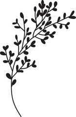 Minimal Hand Drawn Leaf Branch Vector Illustration
