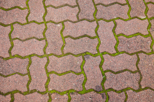 Moss growing between crazy shapes of old bricks