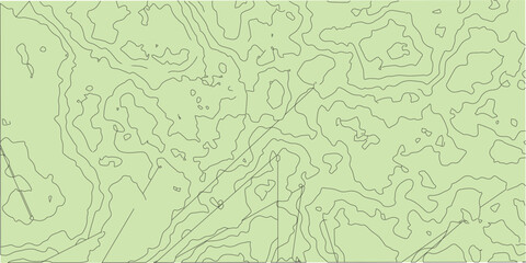 Topographic map lines, contour background. Background of the topographic map. Image grid geographic relief topographic contour line maps cartography texture