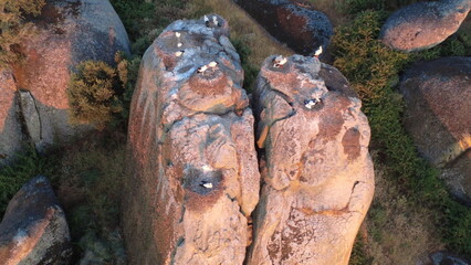 Top-down aerial view of storks nesting on granite rocks.
