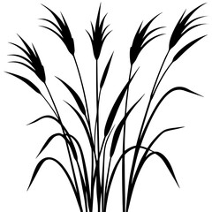 grass silhouette vector